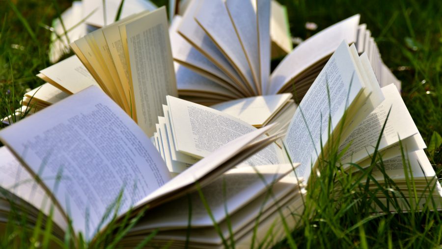 “Libri all’aria aperta”: ad Asola proseguono gli appuntamenti con gli Autori